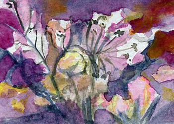 Fluffs Of Snow Mary Lou Lindroth Rockton IL watercolor